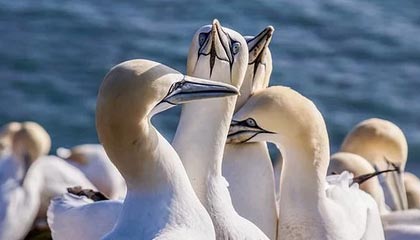 海盐2026年最新北京商务伴游经纪招聘渠道分享(最方便真实的海盐北京爱特博旅运服务有限责任公司招聘方法)