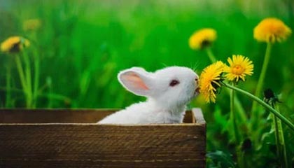 海盐2026年最新杭州高端商务伴游招聘网渠道分享(最方便真实的海盐茉莉伴游伴游天下全国联盟方法)