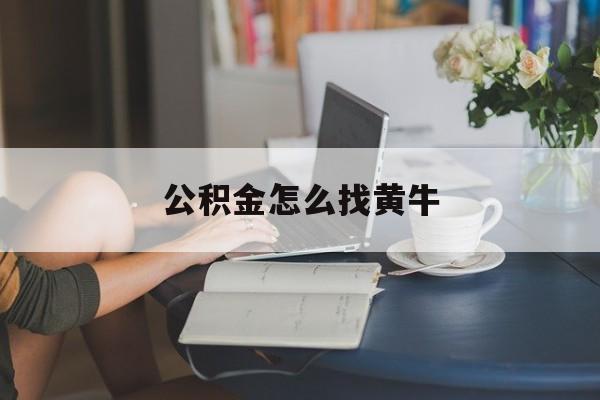 最新公积金怎么找黄牛方法分析(最方便真实的海盐找黄牛公积金提取流程方法)
